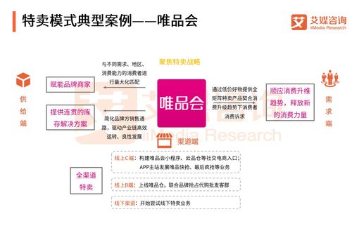 艾媒报告 2018中国B2C电商市场监测报告